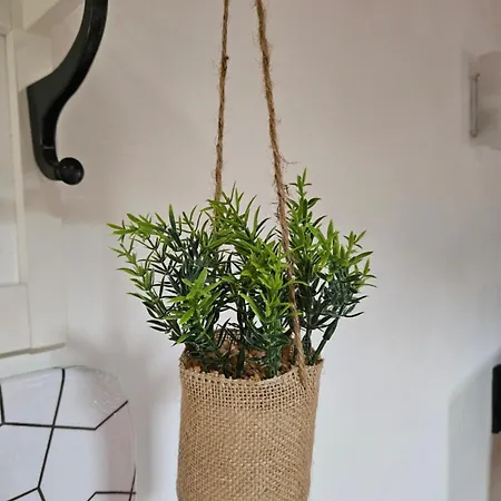 Casa Elisa E Casa Giuliana A 巴达卢科