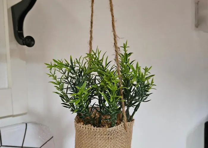 Casa Elisa E Casa Giuliana A Badalucco